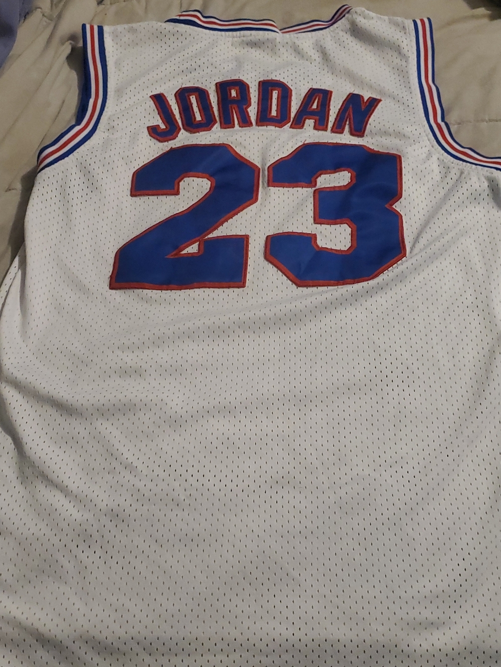 Vintage Champion Authentic Tune Squad Michael Jordan Jersey....🏀